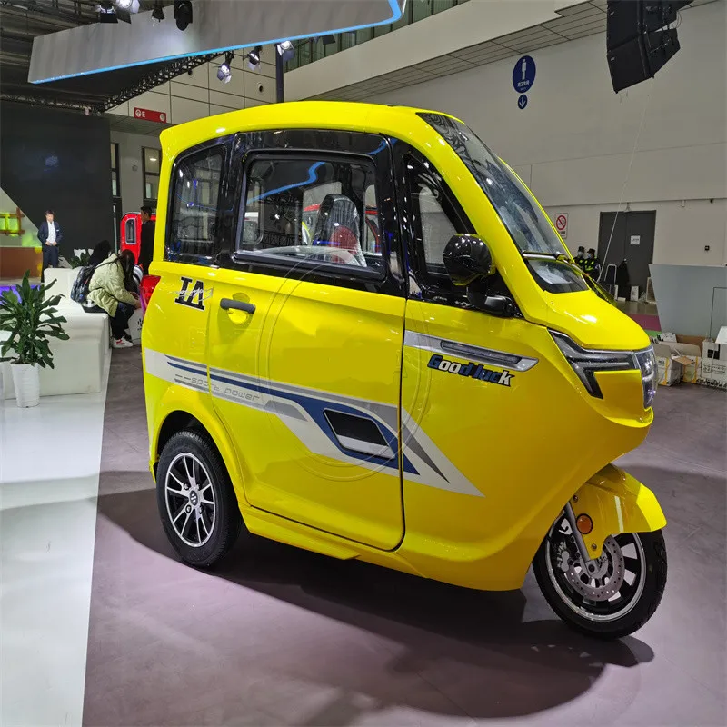 Çin Fabrikası Tamamen Kapalı Küçük Elektrikli 3 Tekerlekli Araba Hızlı 40km / S Yetişkin Elektrikli Şehir Arabası Görüntü 5