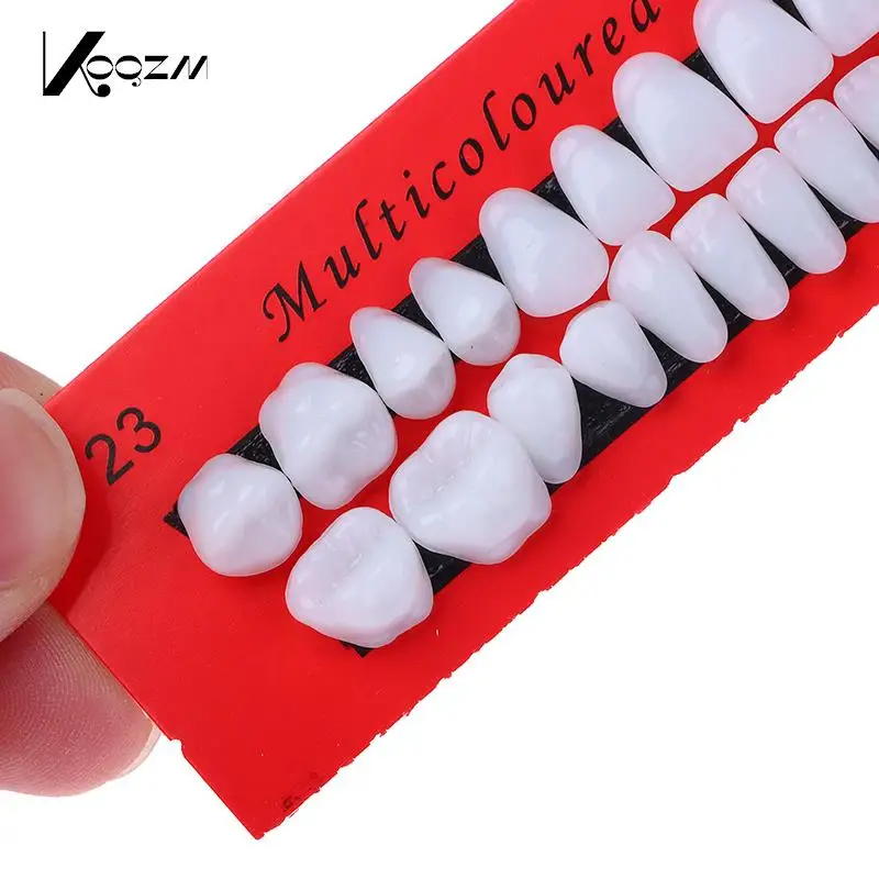 28 Adet / takım Evrensel Resi Yanlış Diş Reçine Diş Modeli Dayanıklı Protez Diş Malzeme Diş model beyin Adanmış Diş Görüntü 0
