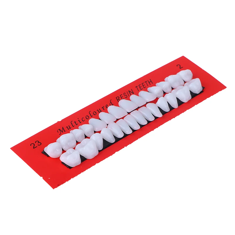 28 Adet / takım Evrensel Resi Yanlış Diş Reçine Diş Modeli Dayanıklı Protez Diş Malzeme Diş model beyin Adanmış Diş Görüntü 1
