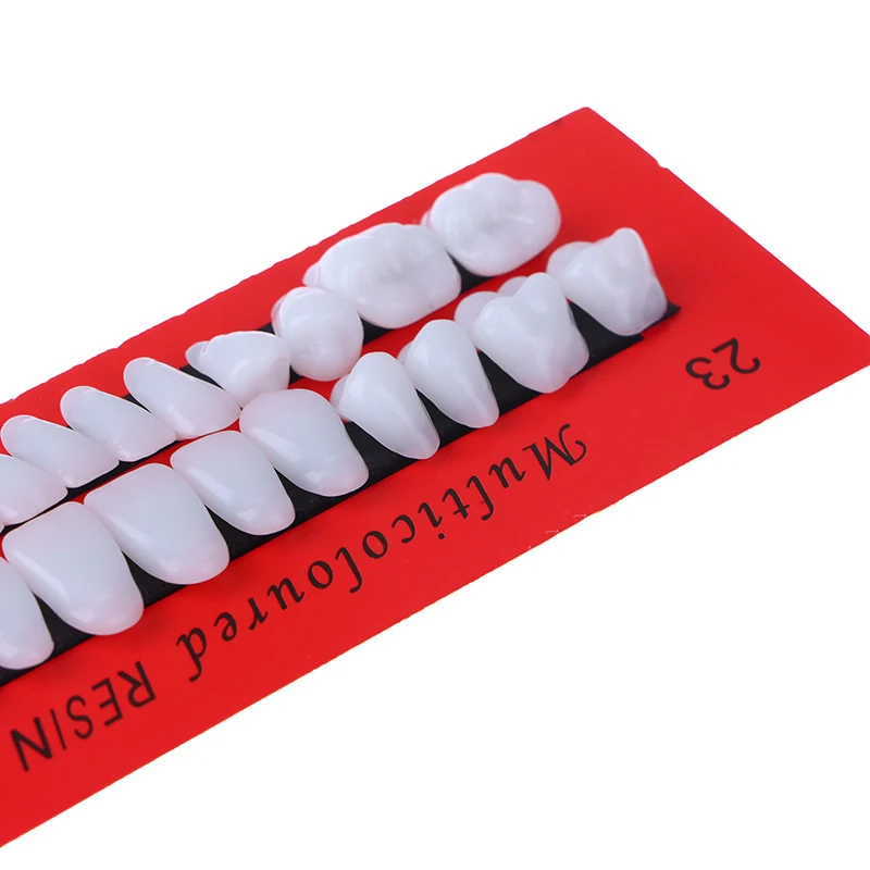 28 Adet / takım Evrensel Resi Yanlış Diş Reçine Diş Modeli Dayanıklı Protez Diş Malzeme Diş model beyin Adanmış Diş Görüntü 2