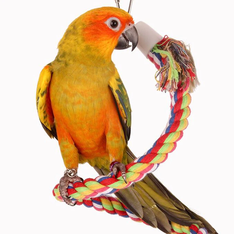 Yeni Papağan Halat Asılı Örgülü Muhabbet Kuşu Çiğnemek Halat Kuş Kafesi Papağanının Oyuncak evcil hayvan standı Eğitim Aksesuarları Conure Salıncak Malzemeleri Görüntü 2