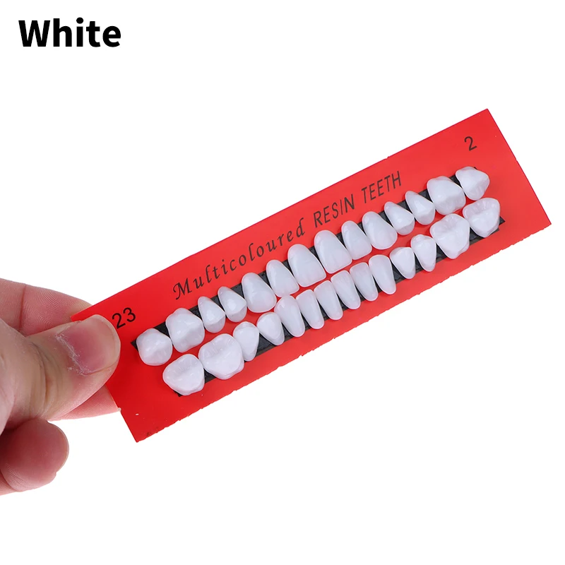 28 Adet / takım Evrensel Resi Yanlış Diş Reçine Diş Modeli Dayanıklı Protez Diş Malzeme Diş model beyin Adanmış Diş Görüntü 3