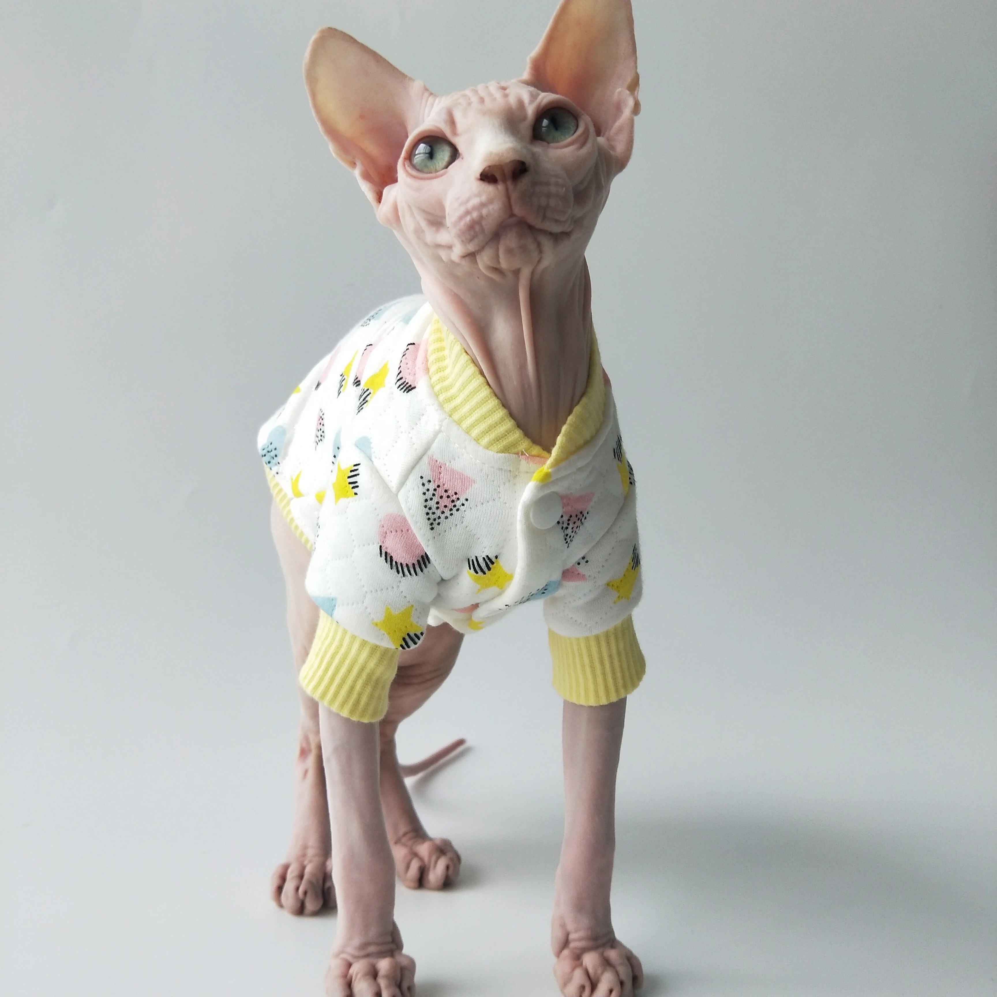 WMXZ Sfenks Tüysüz Kedi Kitty Köpek Giysileri Tulum Kıyafet Coat Pet Kostüm Sonbahar Kış Sıcak Pamuk Hırka Elbise Tatlı Sevimli Görüntü 3