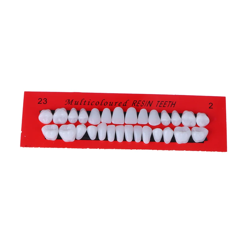 28 Adet / takım Evrensel Resi Yanlış Diş Reçine Diş Modeli Dayanıklı Protez Diş Malzeme Diş model beyin Adanmış Diş Görüntü 4