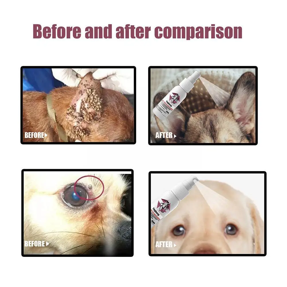 Evcil Hayvan Kürk Spreyi Pire Kene Ve Sivrisinekler Köpekler Kediler Ve Ev Pireleri İçin Sprey Köpekler ve Ev Pireleri için Tedaviler Katiller Yatıştırır N6A9 Görüntü 4