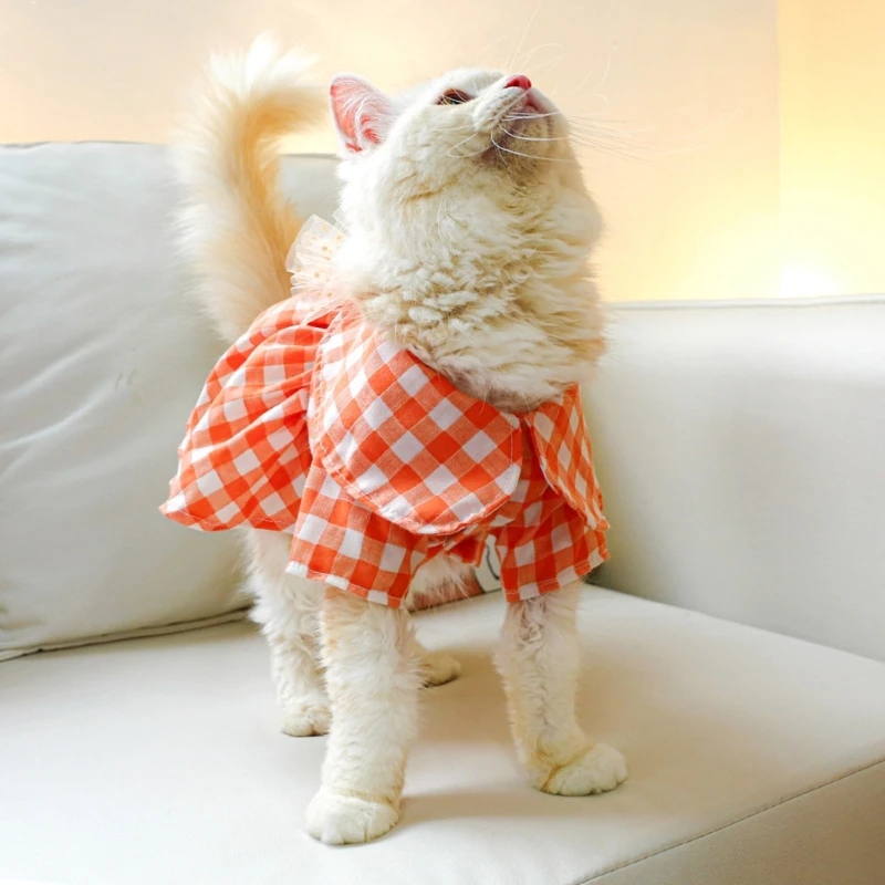 Kız Köpek Giysileri Kostüm Giyim Yay Elbise Turuncu Peter-Pan-Yaka Elbiseler Görüntü 4