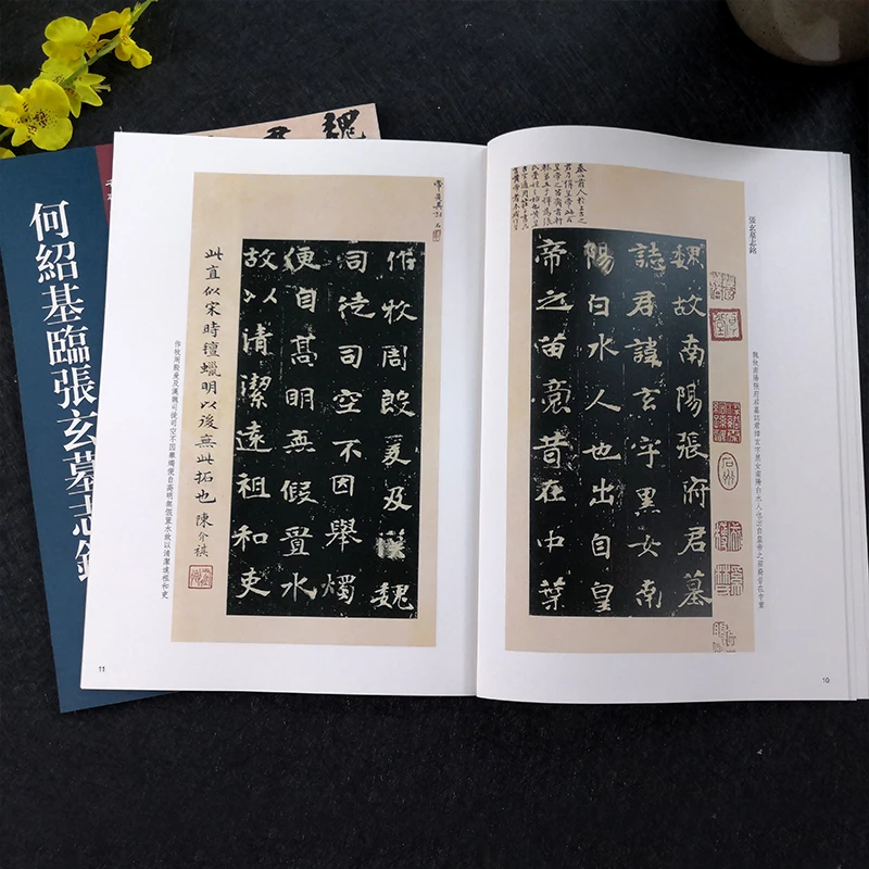 Çin Klasikleri Yazıtlar Koleksiyonu Defterini Deng Shiru Resmi Mühür Komut Dosyası Kaligrafi Fırçası Kopya Kitap HD Renkli Baskı Görüntü 4