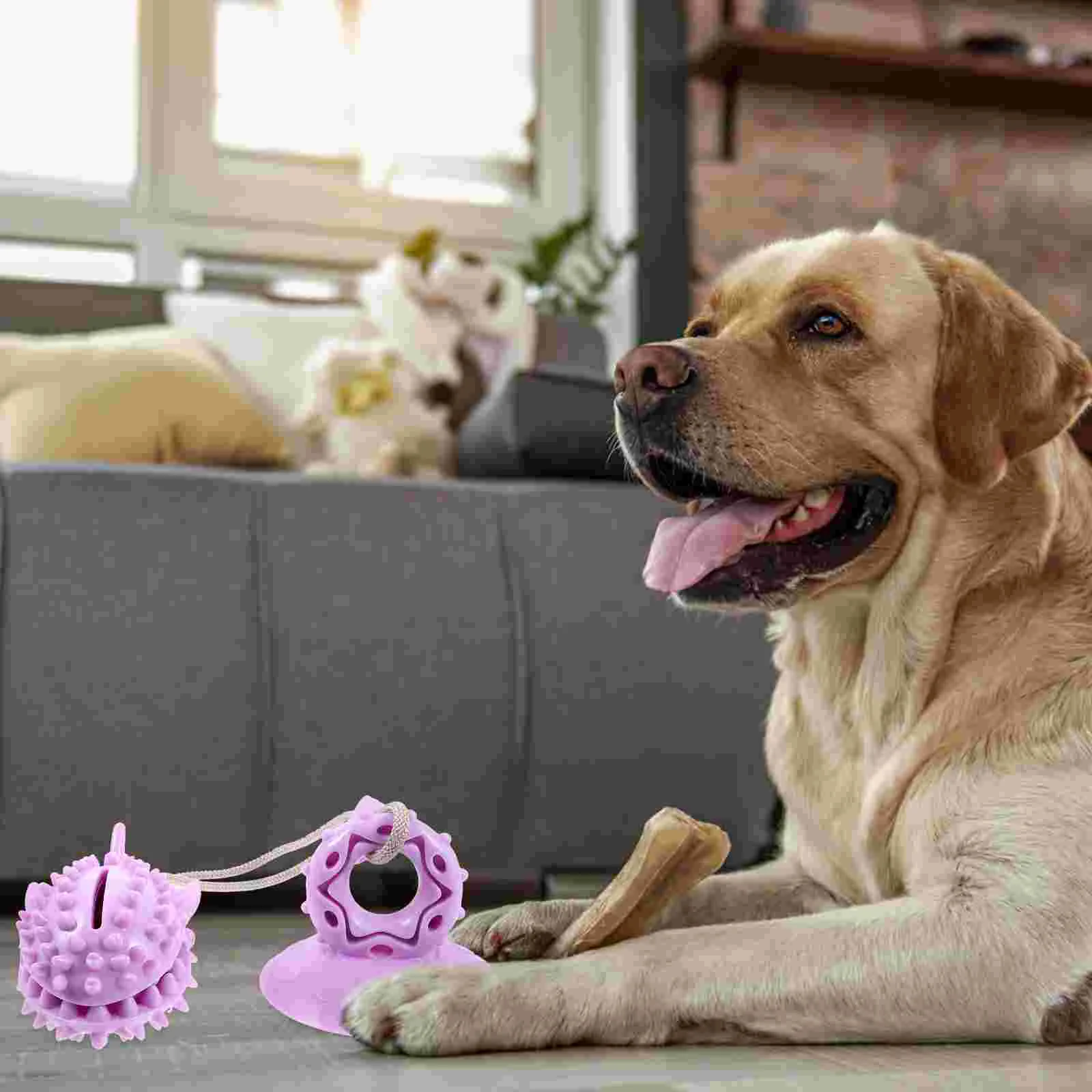 Çiğnemek Oyuncak Köpek Halat Köpek Oyuncaklar İnteraktif Tpr Tedavi Dağıtıcı Vantuz Görüntü 4