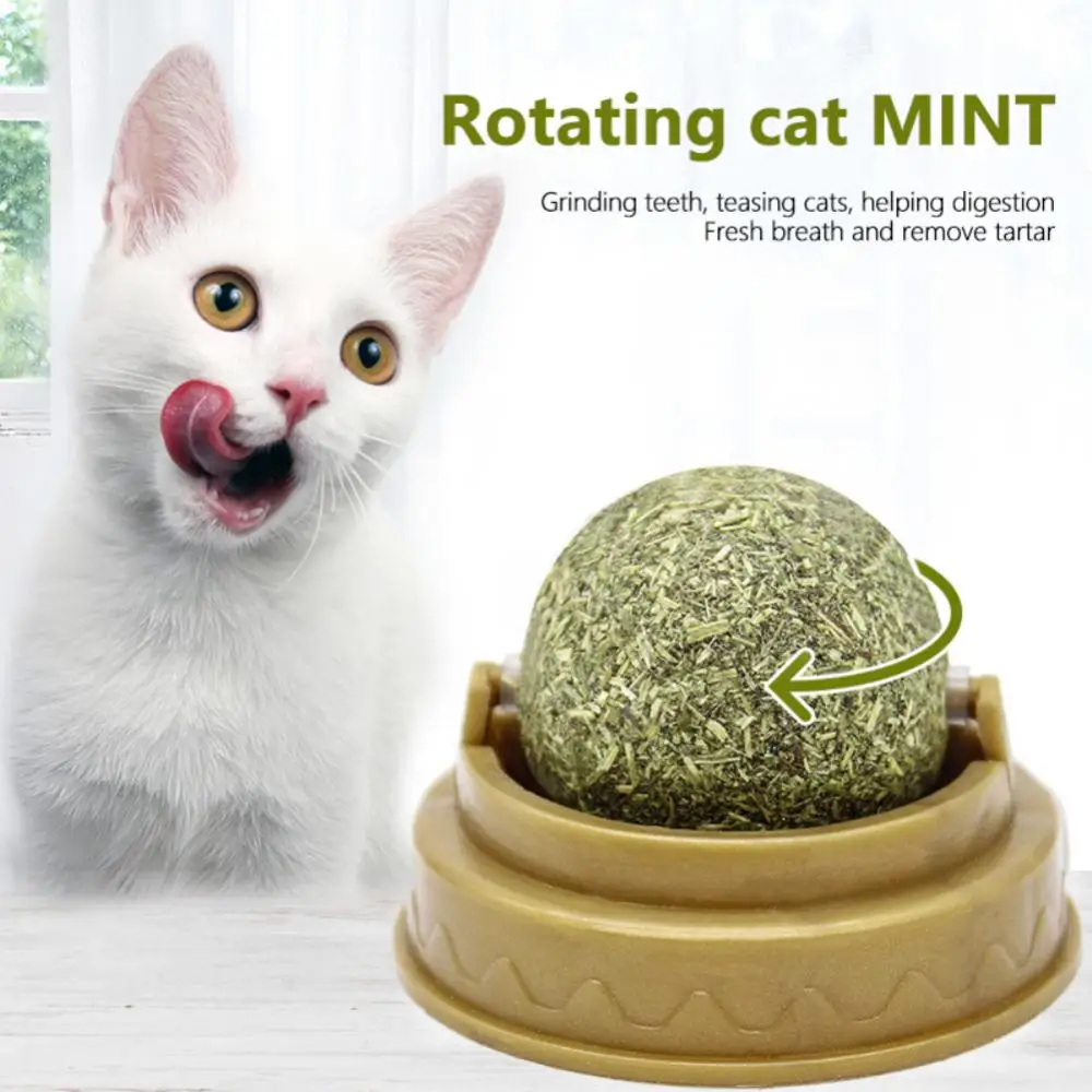 1 ~ 8 ADET Doğal Dönen Nane Topu Kedi Şeker Yalama Sağlıklı Doğal Saç Topları Teşvik etmek Sindirim Kedi Evcil Hayvan Ürünleri Görüntü 5