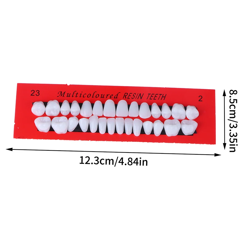 28 Adet / takım Evrensel Resi Yanlış Diş Reçine Diş Modeli Dayanıklı Protez Diş Malzeme Diş model beyin Adanmış Diş Görüntü 5
