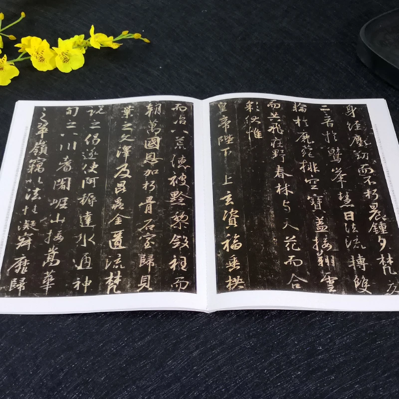 Çin Klasikleri Yazıtlar Koleksiyonu Defterini Deng Shiru Resmi Mühür Komut Dosyası Kaligrafi Fırçası Kopya Kitap HD Renkli Baskı Görüntü 5